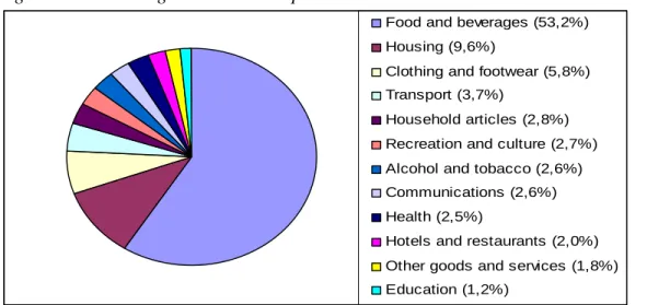 Figure 6. The Average Household Expenditures 