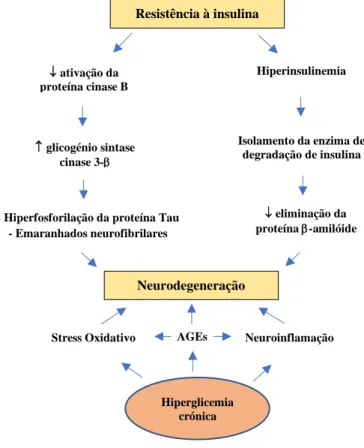 Figura 3 – Processo patológico da resistência à insulina até à neurodegeneração. Adaptado de (26)