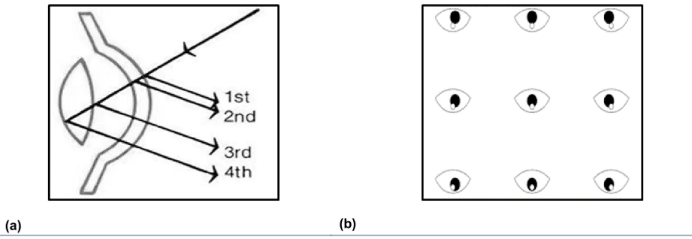 Figure 3. (a)  The four Purkinje images. Image retrieved 14 November, 2014, from 