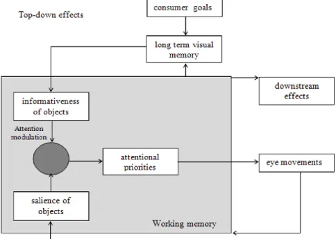 Figure 4. Wedel and Pieters’s adapted schematic diagram for the representative attentional factors in visual marketing