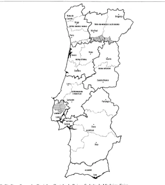 Fig. 8 - O Projecto Actual de Regionalização, 1997 