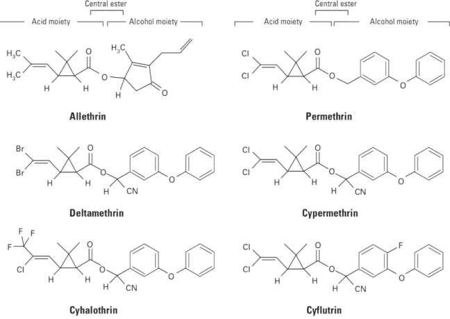 Figure 7. Type I and type II pyrethroids common features [37]. 