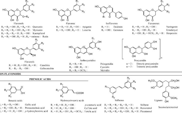 Fig. 1. Chemical structures of the biological active phenolic constituents found in wines.