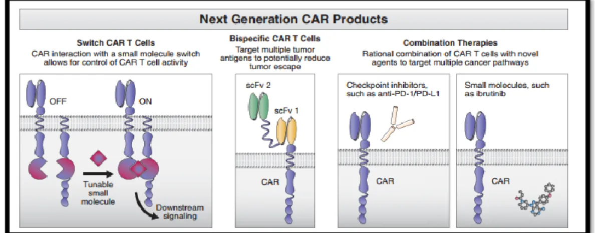 Figura 12: Linhas direcionais de desenvolvimento da próxima geração de linfócitos  T geneticamente modificados com CAR  57 