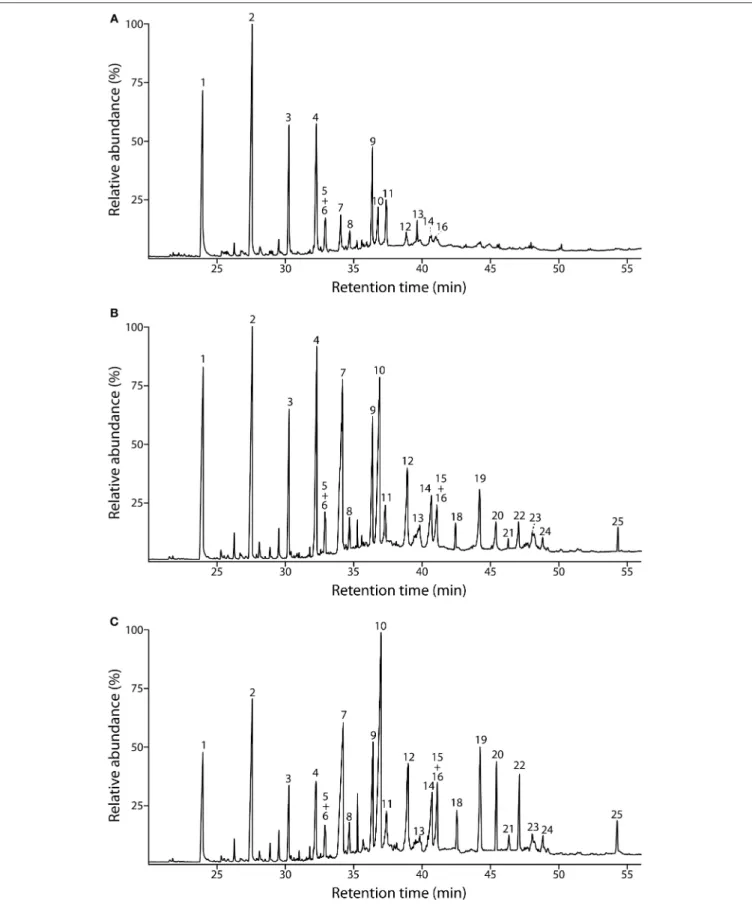 FIGURE 2 | Py-GC/MS chromatograms of the milled lignin preparations isolated from the different parts of Q