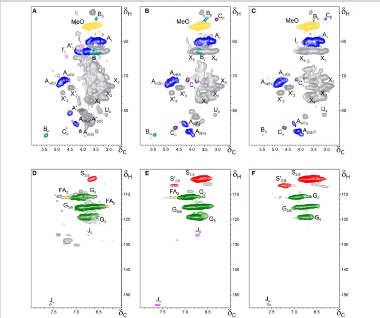 FIGURE 3 | Side-chain (δ C /δ H 50–90/2.5–6.0) and aromatic/unsaturated (δ C /δ H 100–155/6.0–8.0) regions in the 2D HSQC NMR spectra of the whole cell-walls from the different parts of Q