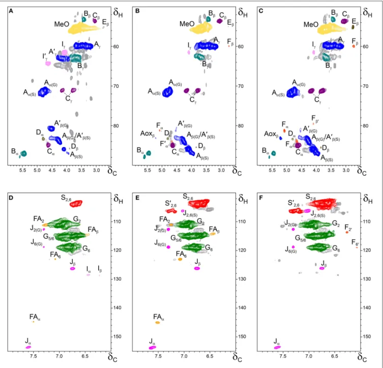 FIGURE 4 | Side-chain (δ C /δ H 50–90/2.5–6.0) and aromatic/unsaturated (δ C /δ H 100–155/6.0–8.0) regions in the 2D HSQC NMR spectra of the milled lignin preparations isolated from the different parts of Q