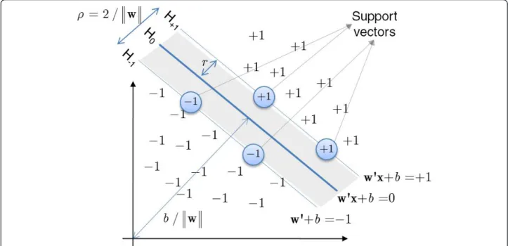 Figure 2 Schematic representation of the optimum hyperplane (H0) by a Support Vector Machine