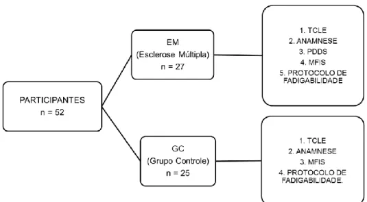 FIGURA 3. Procedimentos 