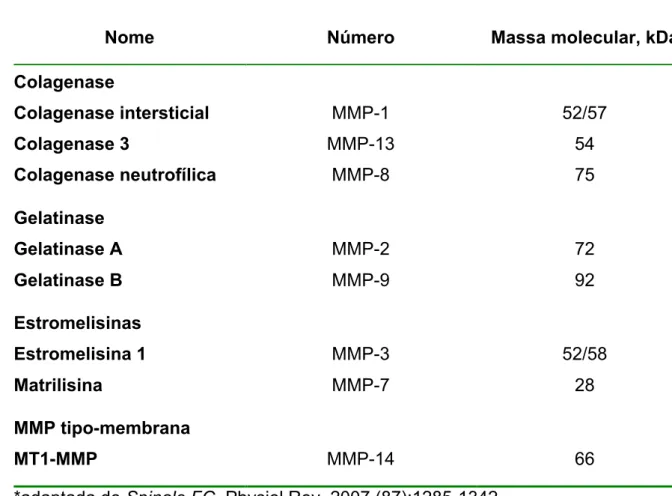 Tabela 1  –  Classes representativas de MMPs identificadas no miocárdio 