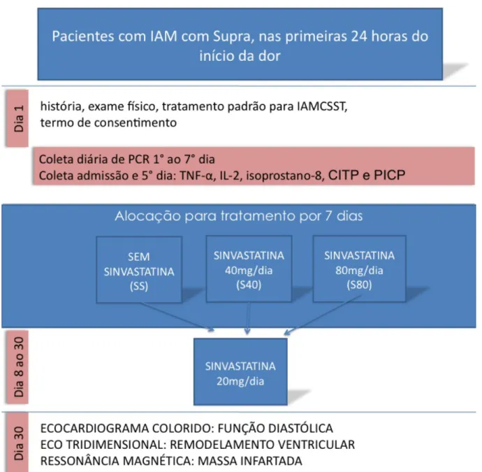 Figura 1 – Delineamento do estudo 