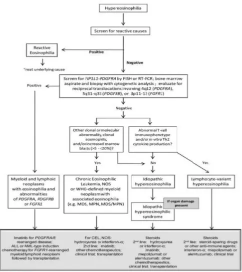 Figura  1  –  Algoritmo  de  diagnóstico  e  terapêutico  baseado  na  Classificação  da  OMS  de  2008  para  Distúrbios Eosinofílicos