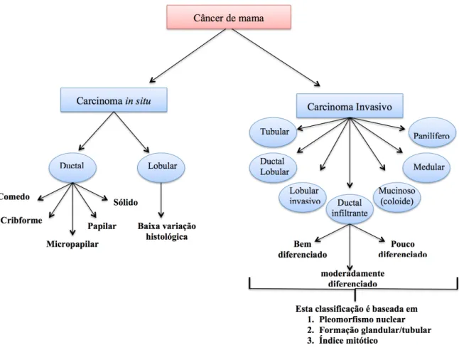 Figura  1.  Classificação  histológica  dos  subtipos  de  carcinoma  mamário,  categorizando  a  heterogeneidade baseada nas características arquiteturais e padrões de crescimento