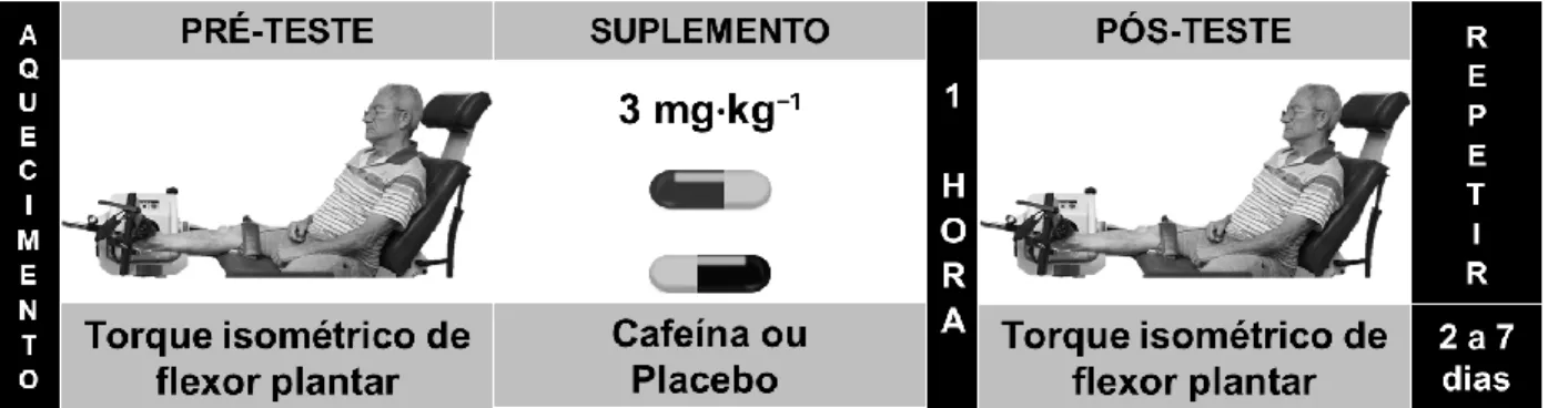 Figura 1. Visão geral do protocolo de suplementação. Repetiu-se o protocolo após dois  a sete dias, utilizando-se cafeína ou placebo em um modelo duplo-cego