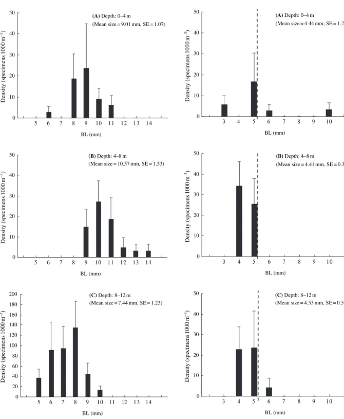 Fig. 6. Body length (BL) range of Gobius xanthocephalus in each depth interval (A) 0–4 m, (B) 4–8 m and (C) 8–12 m presented as the mean density (columns) and SE (whiskers)