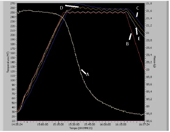 Figura 3. Grafico gerado por software labview. A) Perda de massa em tempo real; B) Patamar  e  rampas  determinados  para  estes  ensaios;  C)  Temperatura  superficial  da  amostra;  D)  Temperatura interna da amostra; E) Temperatura de controle do reator