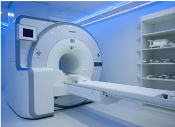 Figure  2.  3 )  for  simultaneous  PET/MRI  human  brain studies,  were  performed  (Schmand  et  al