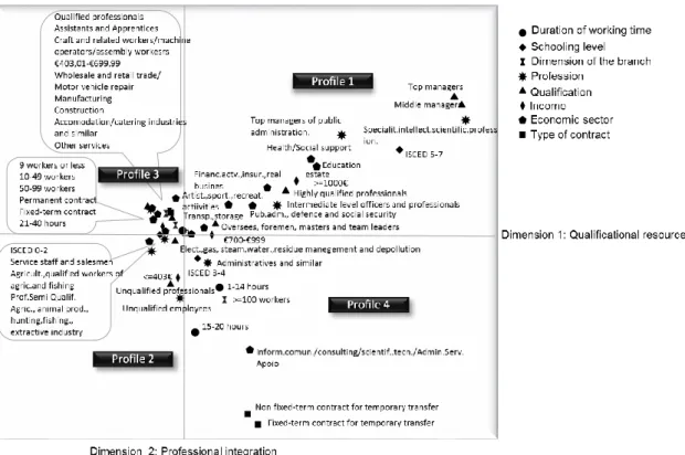 Figure 2 - Patterns of professional integration, 2007 