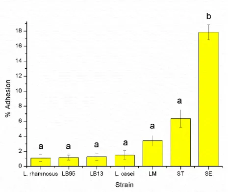 Figure 7 - Bacterial adhesion to HT-29 cells. 