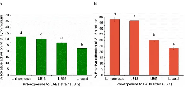 Figure 9 - Adhesion of Salmonella strains to HT-29 cells. 