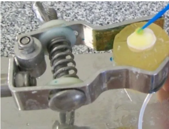 Figure 7 – Specimen after the application and  polymerization of the composite resin.  