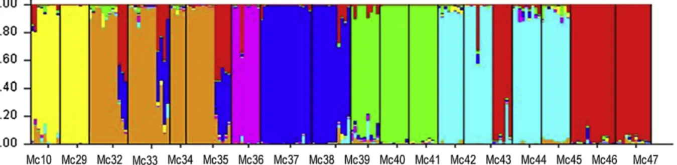 Fig. 1. Bayesian admixture proportions of M. cervina (K ¼ 7).