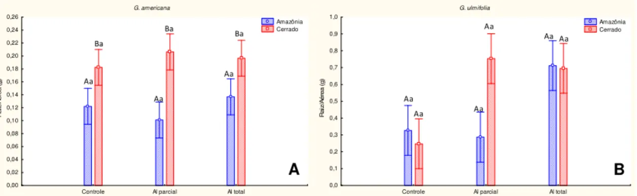 Figura 13. Média (± erro padrão) da razão entre a massa seca da raiz/aérea de G. americana  (A) e G ulmifolia (B) (n = 10)