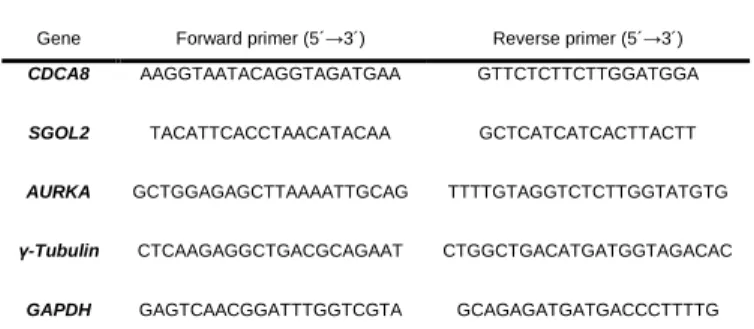 Table 1  Primers used for qRT-PCR.  