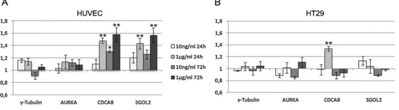 Figure  5  -  BPA  effects on  expression  of genes involved  in  chromosome  segregation