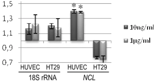 Figure  2  -    Analysis  of  18S  rDNA  and  NCL  transcript  levels  by  quantitative  real-time  PCR  on  HUVEC  and  HT29  cells  exposed  to  BPA  at  1  µg/ml  or  10  ng/ml