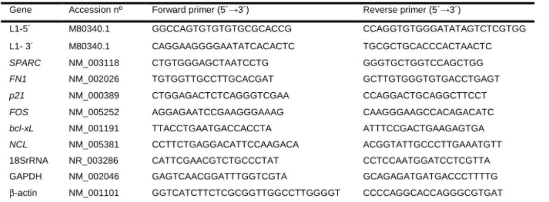 Table 1  Primers used for qRT-PCR.  