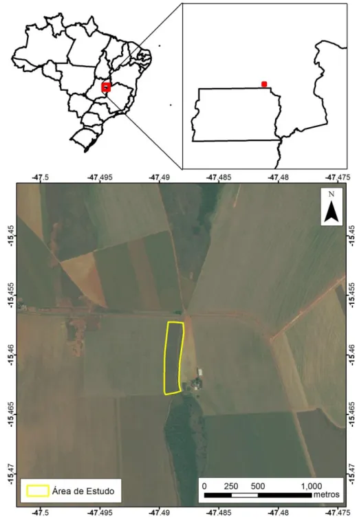 Figura 1.Fragmento escolhido para realização do estudo. Localizado na GO-430, km 1, município de Formosa- Formosa-GO, coordenadas 232931,19 mE e 8289229,17 mS, pertencente a bacia hidrográfica do Ribeirão Pipiripau