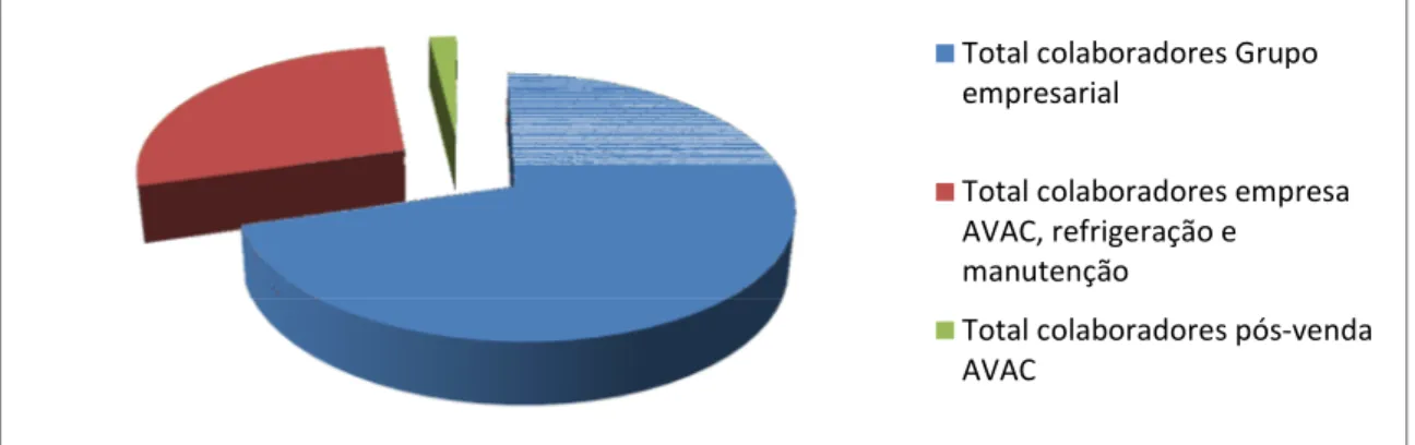 Gráfico 1: Representatividade dos colaboradores ativos da empresa em estudo no total do grupo