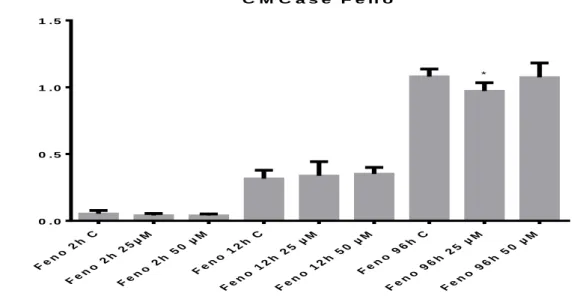 Figura 20. Atividade de CMCase nos sobrenadantes de cultura do fungo H. grisea cultivado em  feno moído  e  na  presença  de  5-AZA  por  2,  12  e  96  horas