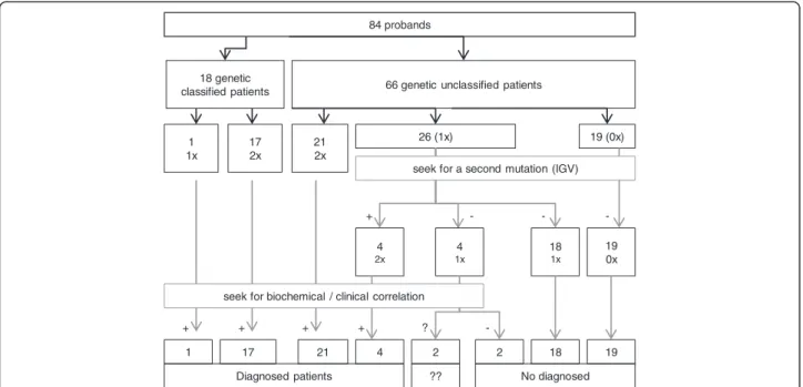 Figure 3 Diagnosis achieved using NGS-LSD. (1x: one mutation found; 2x: two mutations found in the same gene; VCS: variant calling software; ??: not confirmed.)