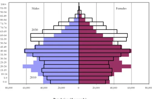 Gráfico II. Projeção da Estrutura Populacional Chinesa: 2010 vs 2030 