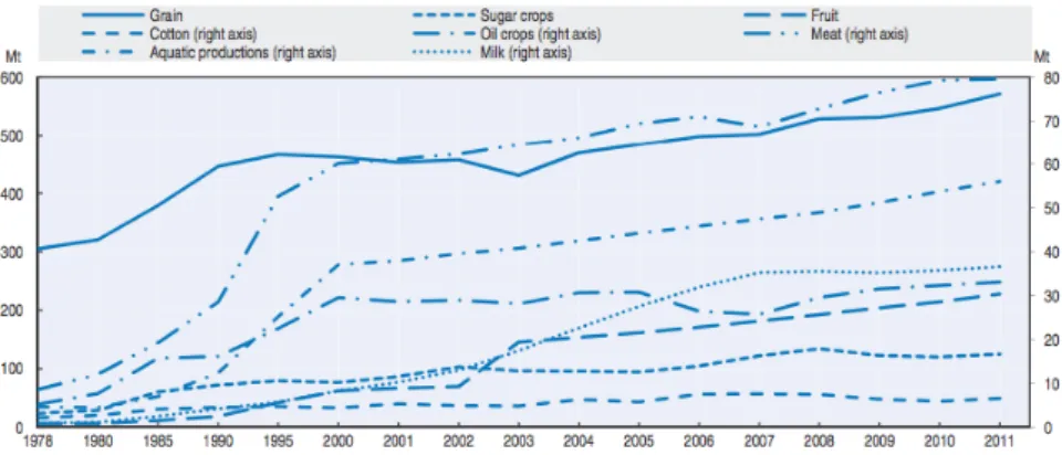 Gráfico VI. Produção dos Principais produtos agrícolas na China 