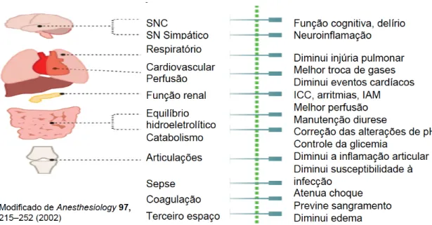 Fig.  1B  –  Manifestações  clínicas  da  resposta  ao  trauma  e  intervenções  alterando  resultados  pós- pós-operatórios