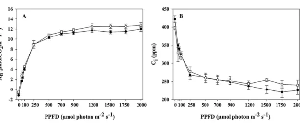 Fig. 3. Light response curves for two Jatropha curcas accessions from Indonesia (Ind) and Cape Verde islands (CVi): (A) Net photosynthesis (A n ) and (B) intercellular CO 2