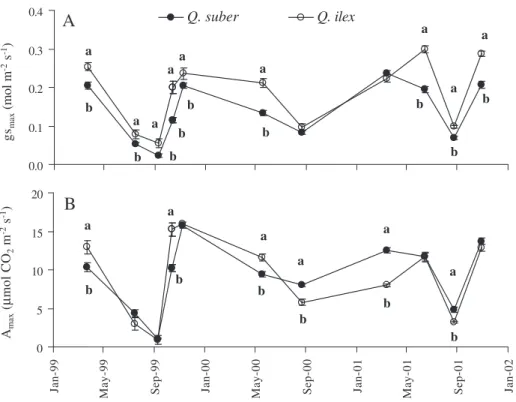Figure 5. Seasonal trends of morning values of (A) stomatal conductance (gs max ) and (B) photosynthesis (A max ) in Q