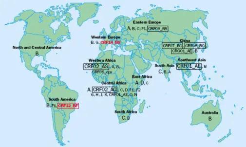 Fig. 7: Mapa-mundo com a distribuição das formas genéticas do VIH-1, salientando-se  as formas mais prevalentes pela maior capitalização das letras