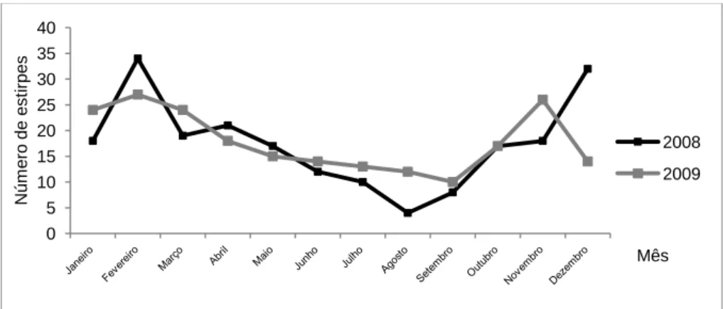 Figura 3: Distribuição sazonal das estirpes isoladas de infecção invasiva em adultos, em 2008 e 2009