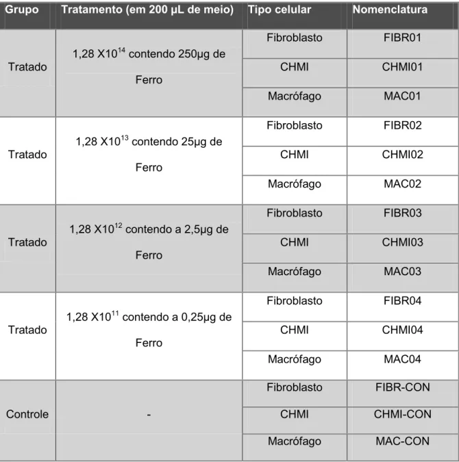Tabela 3-3: Listagem dos grupos experimentais em cultura de célula e  respectivas siglas 