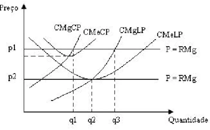 Figura 2.1: Nível de produção e de maximização de lucros no longo prazo. 