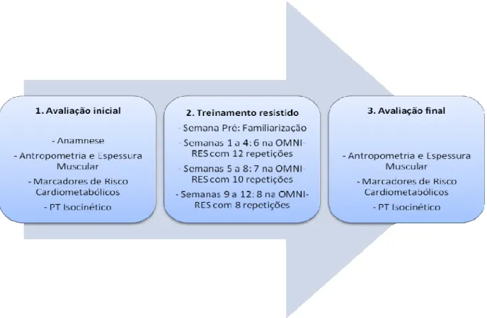 FIGURA 4. Delineamento Esquemático 