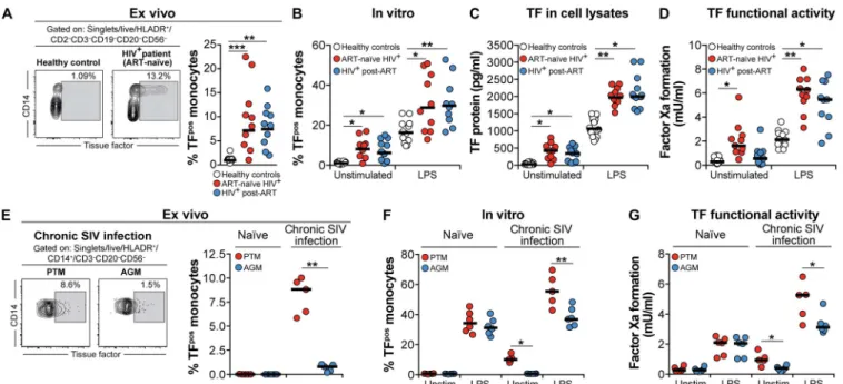 Fig. 2. Frequency of TF-expressing monocytes is increased in chronically HIV-infected individuals and in SIV-infected NHPs despite virological suppression status