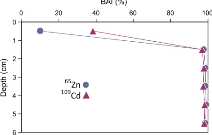 Fig. 3 Biological activity indexes (BAI) for 109 Cd and 65 Zn
