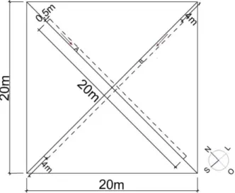 Figure 2.  Sketch of diagonals disposition (subplots) of 20 x 0.5 m, within sample units of 20 x  20m