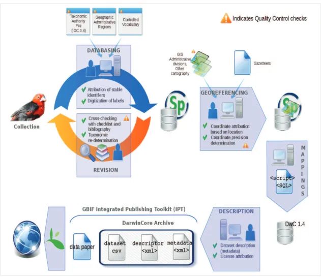 Figure 3.5. Synoptic of the procedure to digitize and publish the dataset online. 