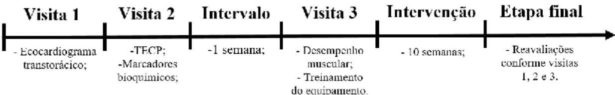 Figura 2 - Ilustração do experimento 